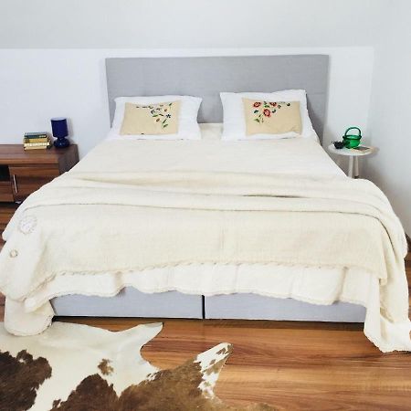 Casa Delia Apartment Laslea ภายนอก รูปภาพ