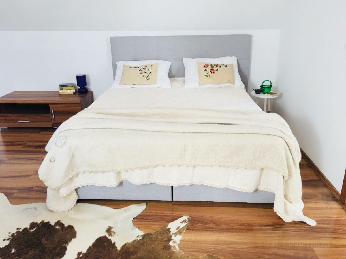 Casa Delia Apartment Laslea ภายนอก รูปภาพ