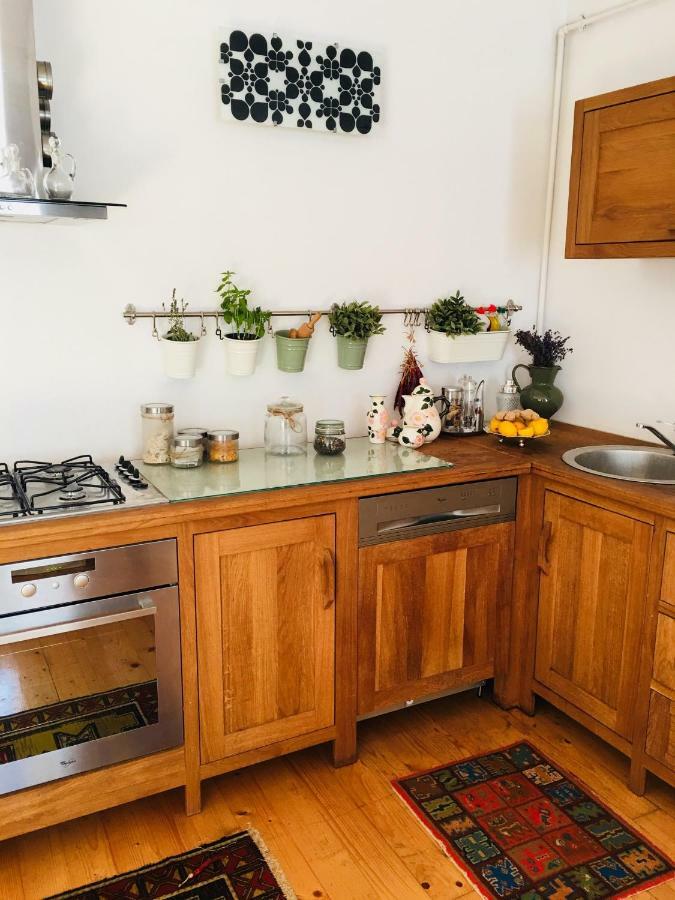 Casa Delia Apartment Laslea ภายนอก รูปภาพ
